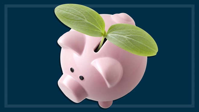 piggy_bank_with_plant_growing_out_the_slot